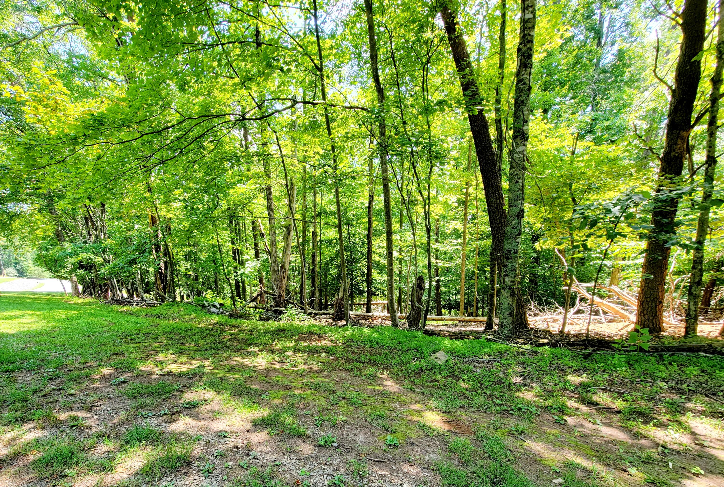 Lot 40 Chestnut Dr, Hardy, Virginia image 2