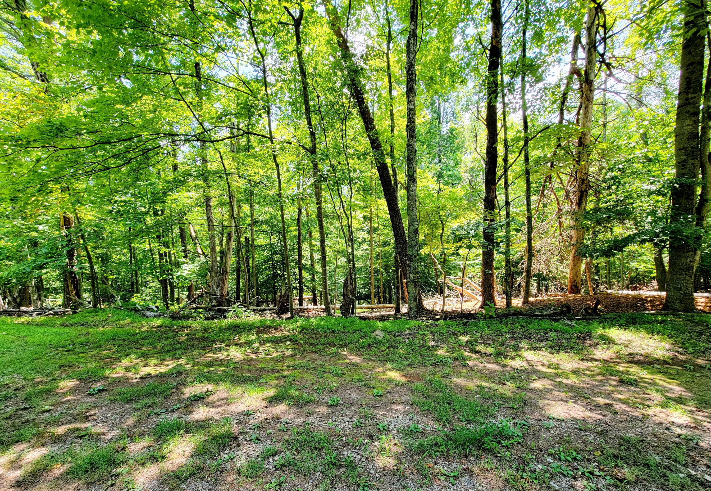 Lot 40 Chestnut Dr, Hardy, Virginia image 3