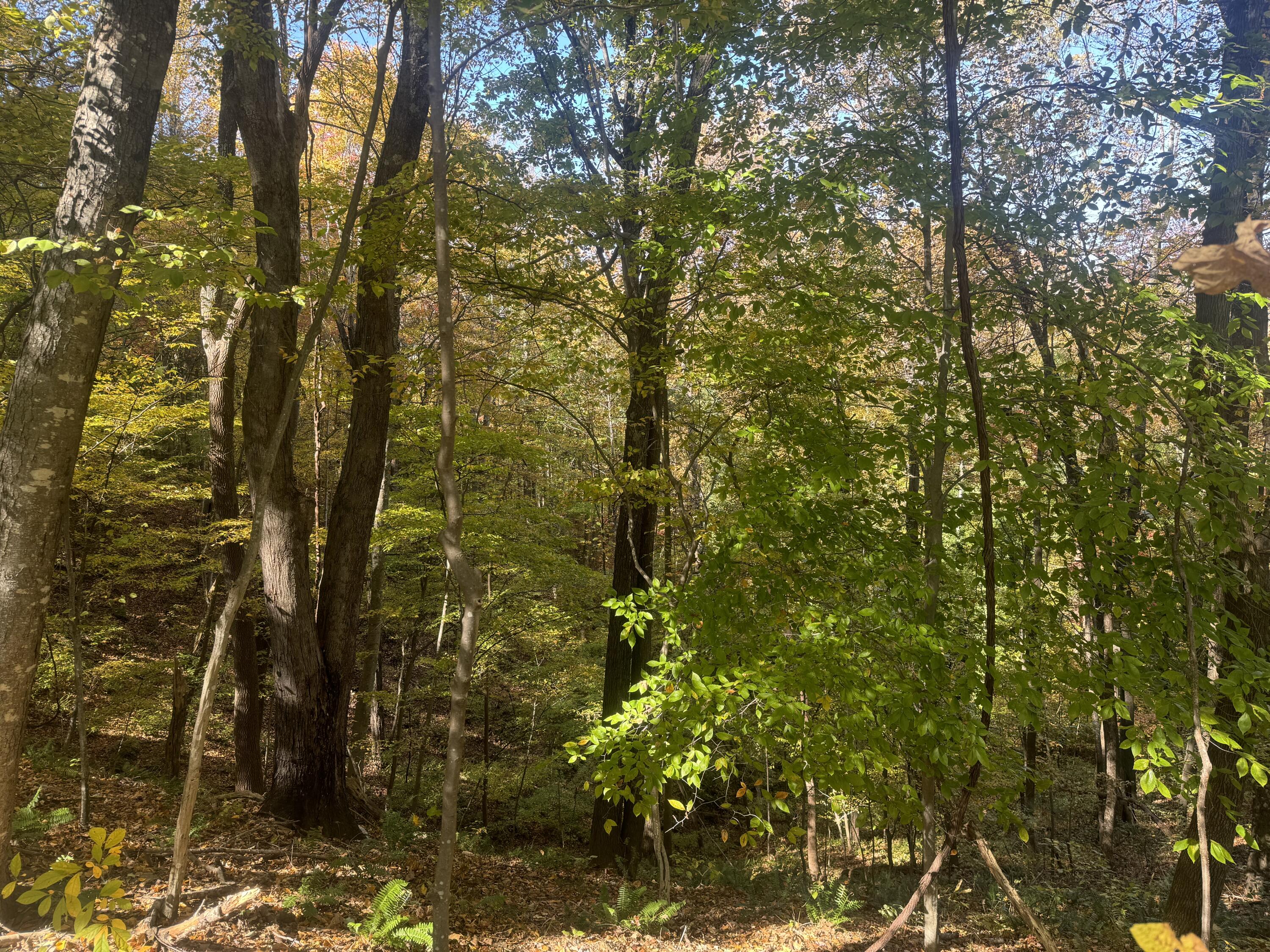 Virgil H Goode Hwy, Boones Mill, Virginia image 8