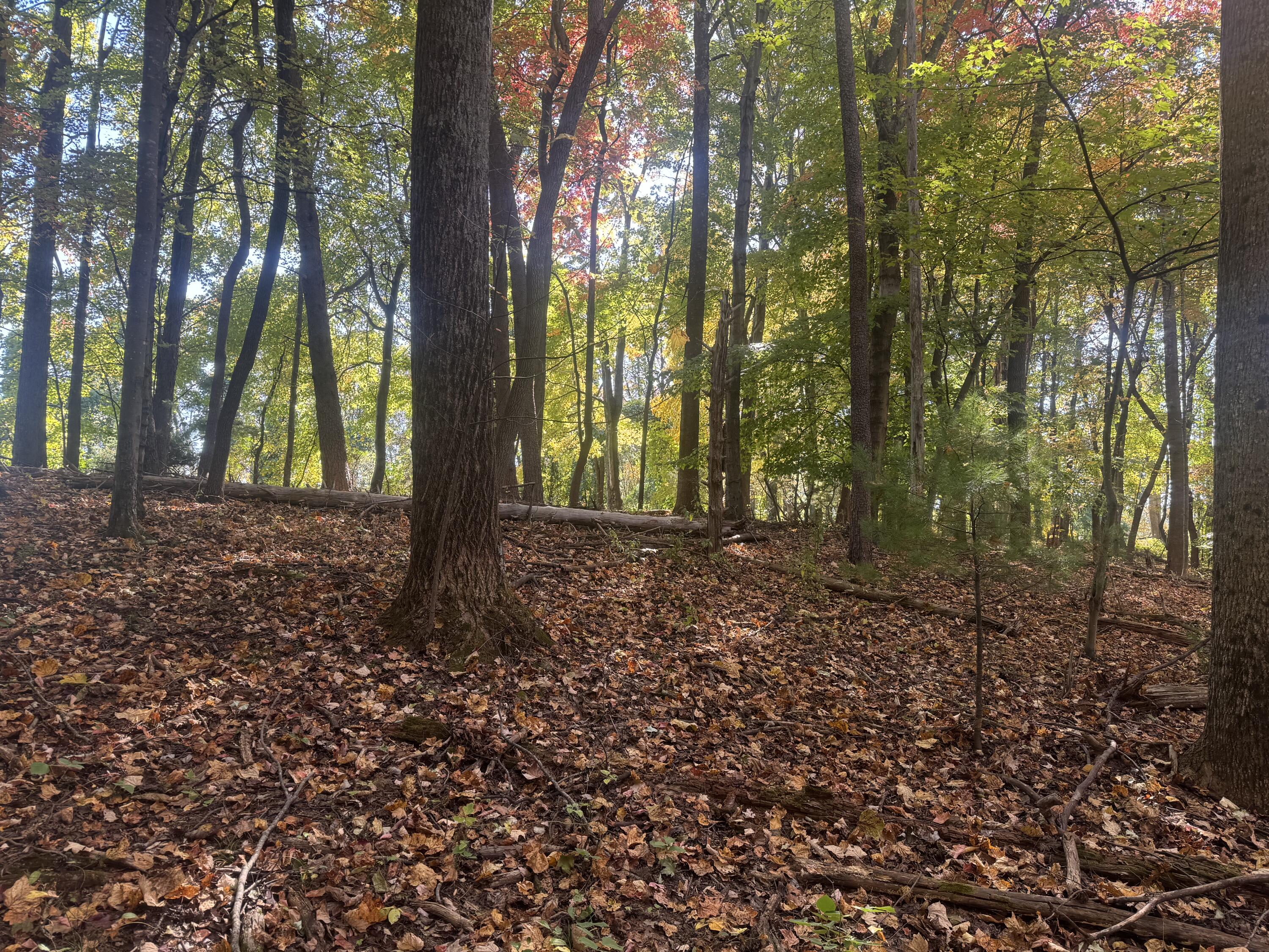 Virgil H Goode Hwy, Boones Mill, Virginia image 9