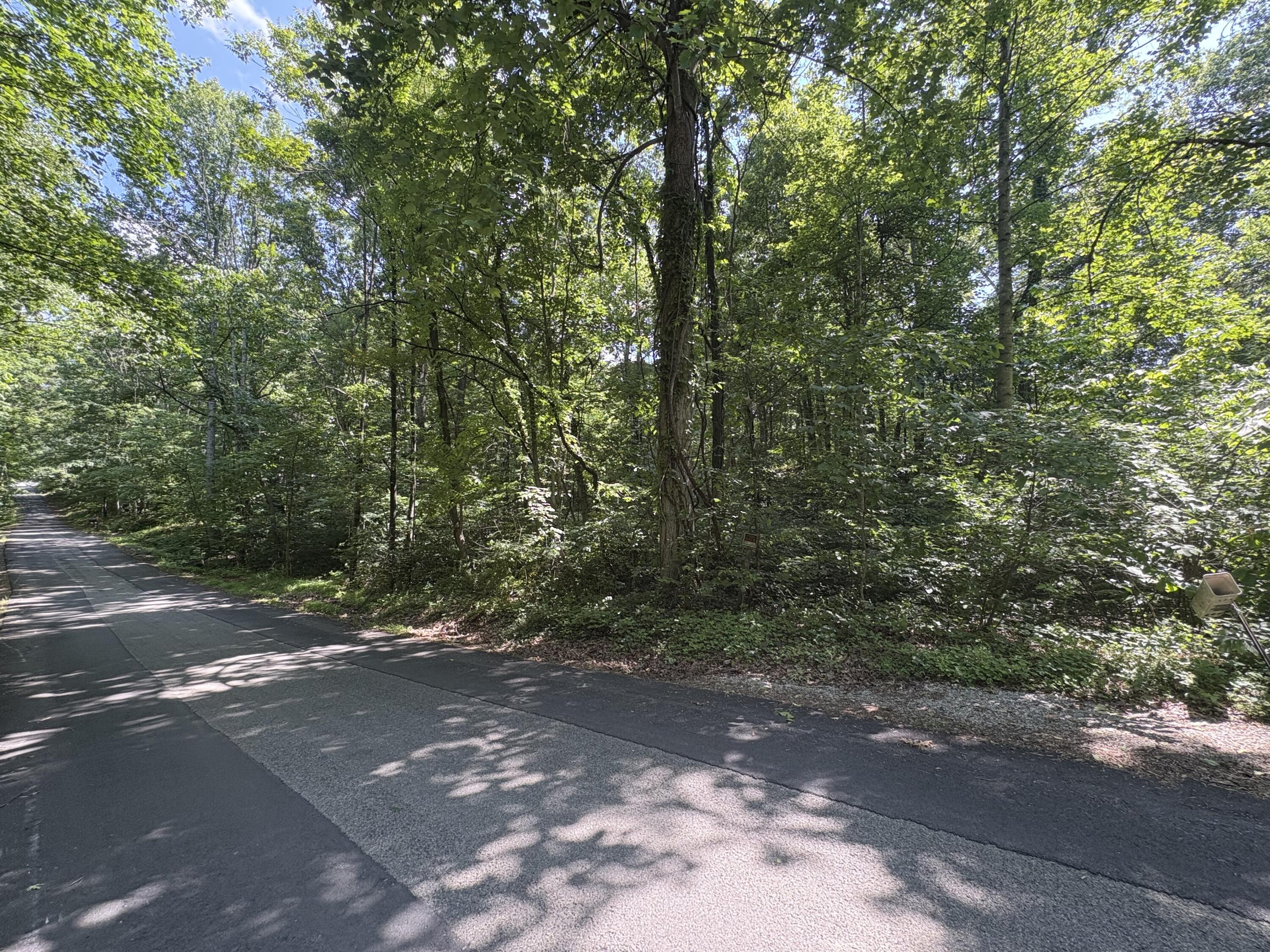 Prunty Dr, Salem, Virginia image 1