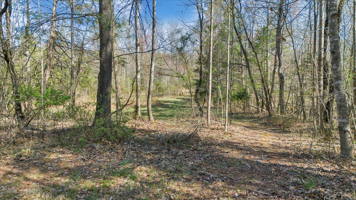 Timber Bridge Rd, Roanoke, Virginia image 17
