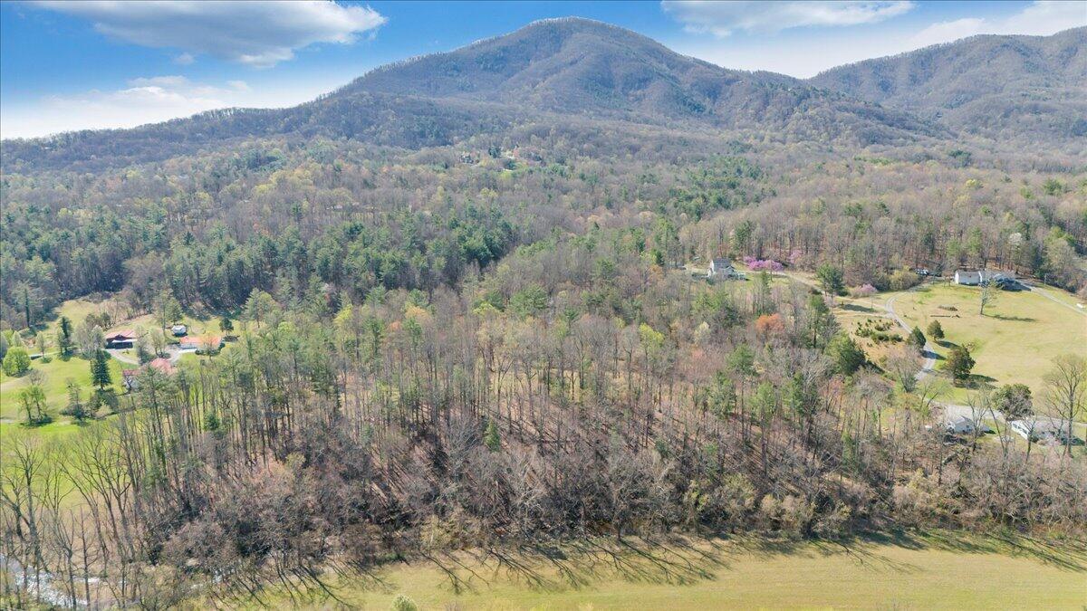 Timber Bridge Rd, Roanoke, Virginia image 10