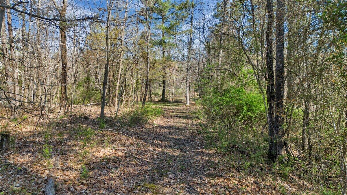 Timber Bridge Rd, Roanoke, Virginia image 16