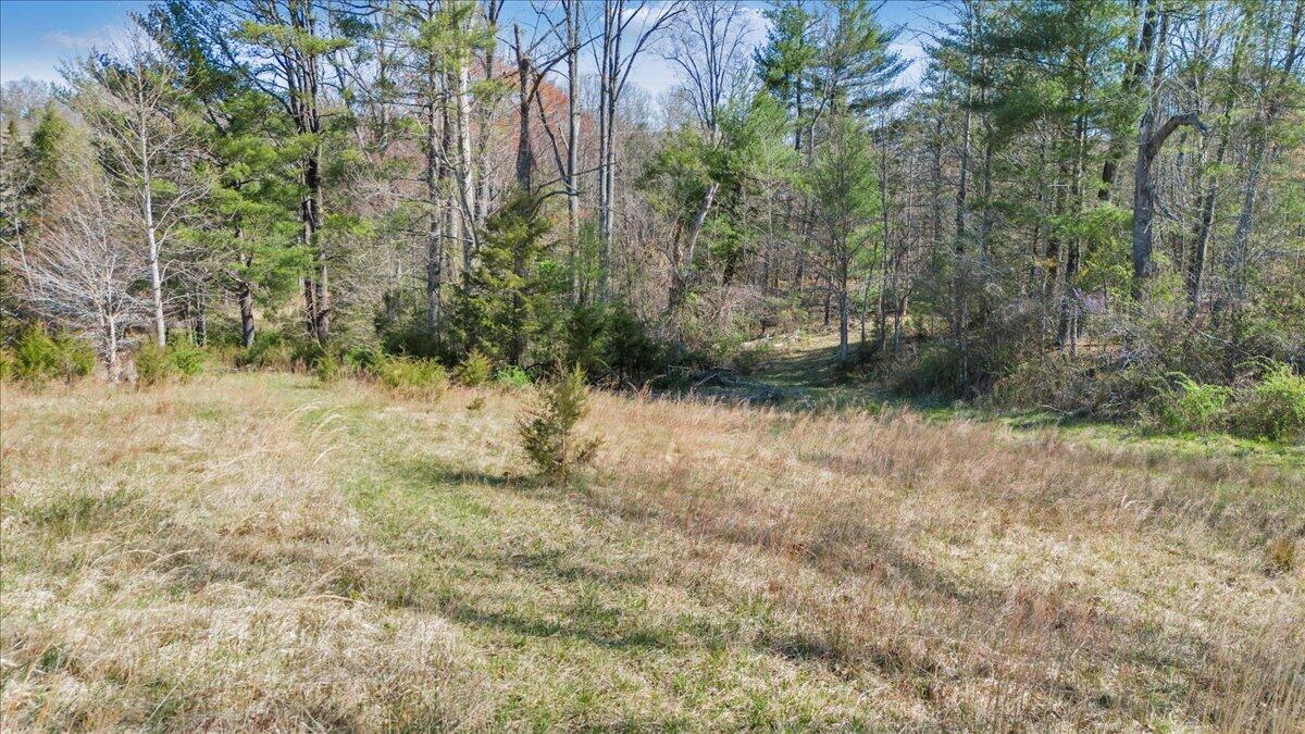 Timber Bridge Rd, Roanoke, Virginia image 14