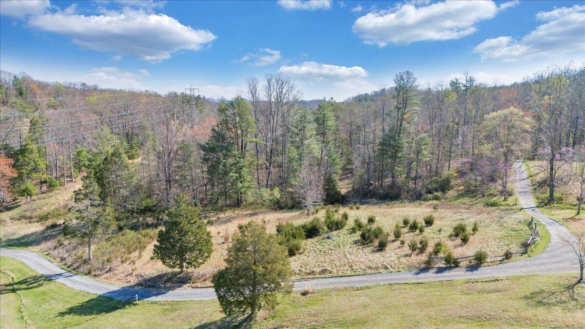 Timber Bridge Rd, Roanoke, Virginia image 3
