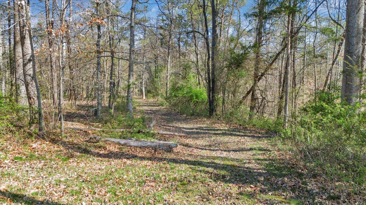 Timber Bridge Rd, Roanoke, Virginia image 15
