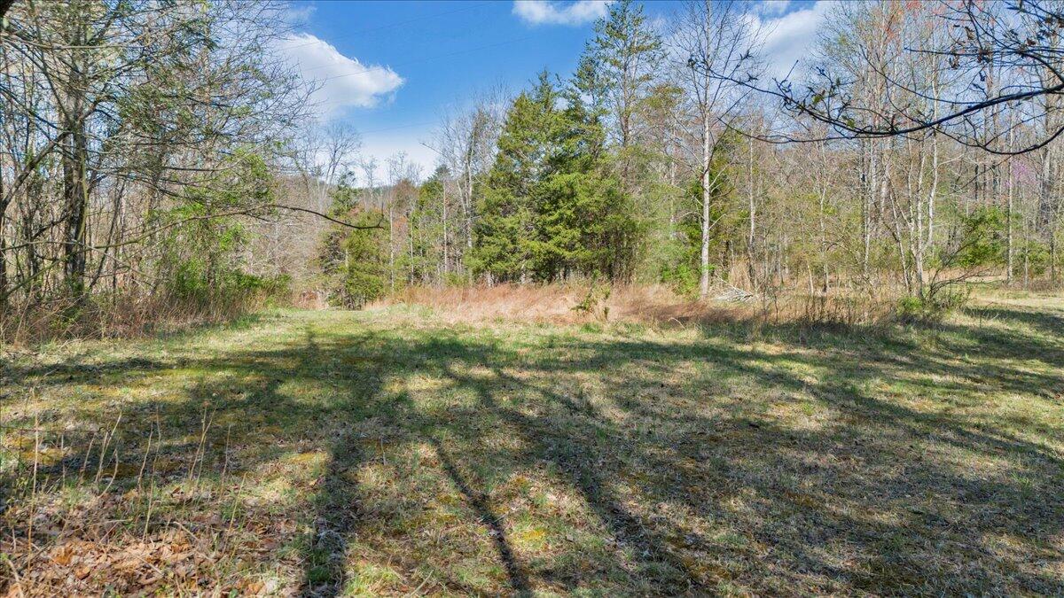 Timber Bridge Rd, Roanoke, Virginia image 18