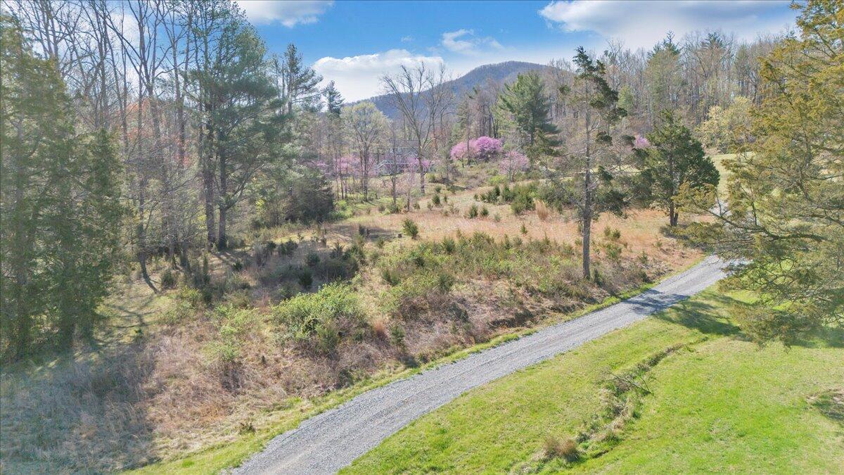 Timber Bridge Rd, Roanoke, Virginia image 13