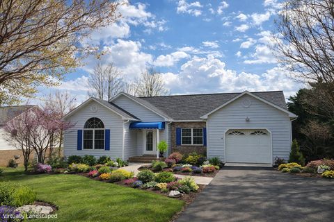 Homes For Sale - 141 Chestnut Creek Dr<br/> Hardy, VA 24101