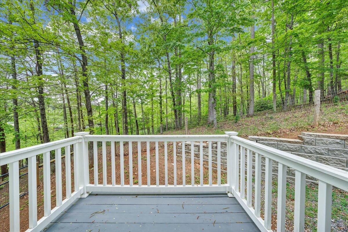101 Cedar Bluff Ln, Hardy, Virginia image 27