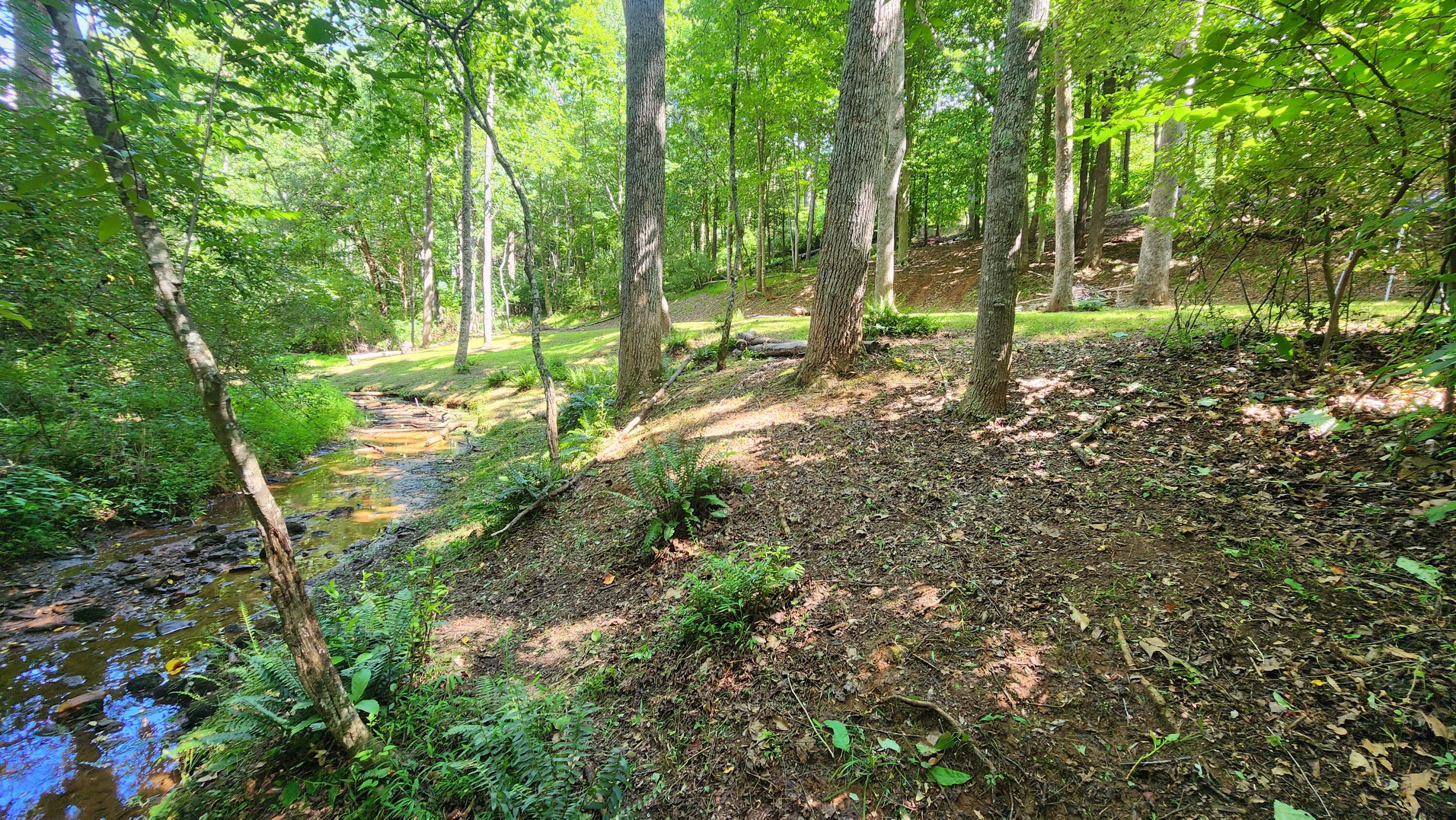 Lot 12 Watchtower Dr, Moneta, Virginia image 3