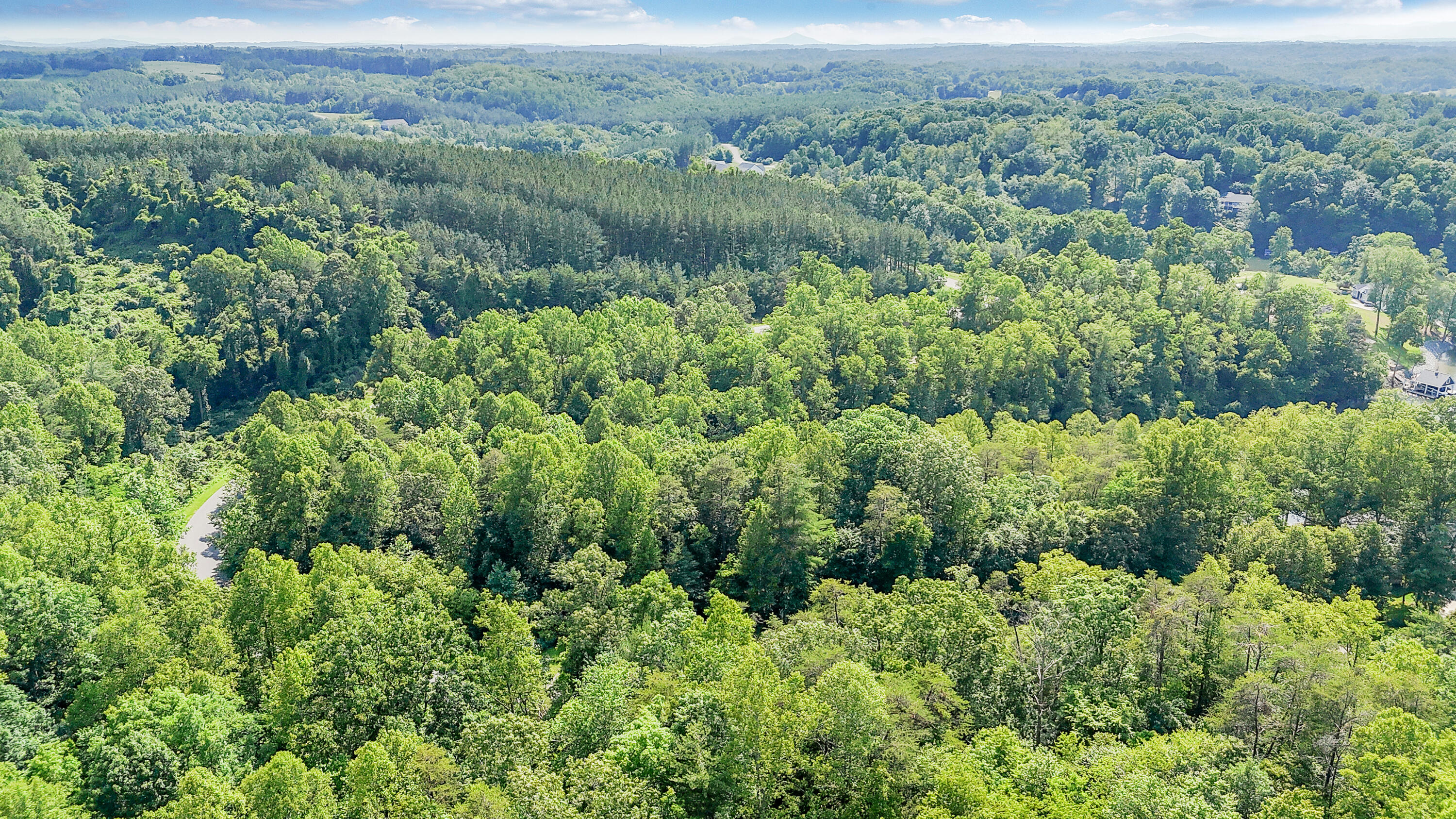 Lot 12 Watchtower Dr, Moneta, Virginia image 36