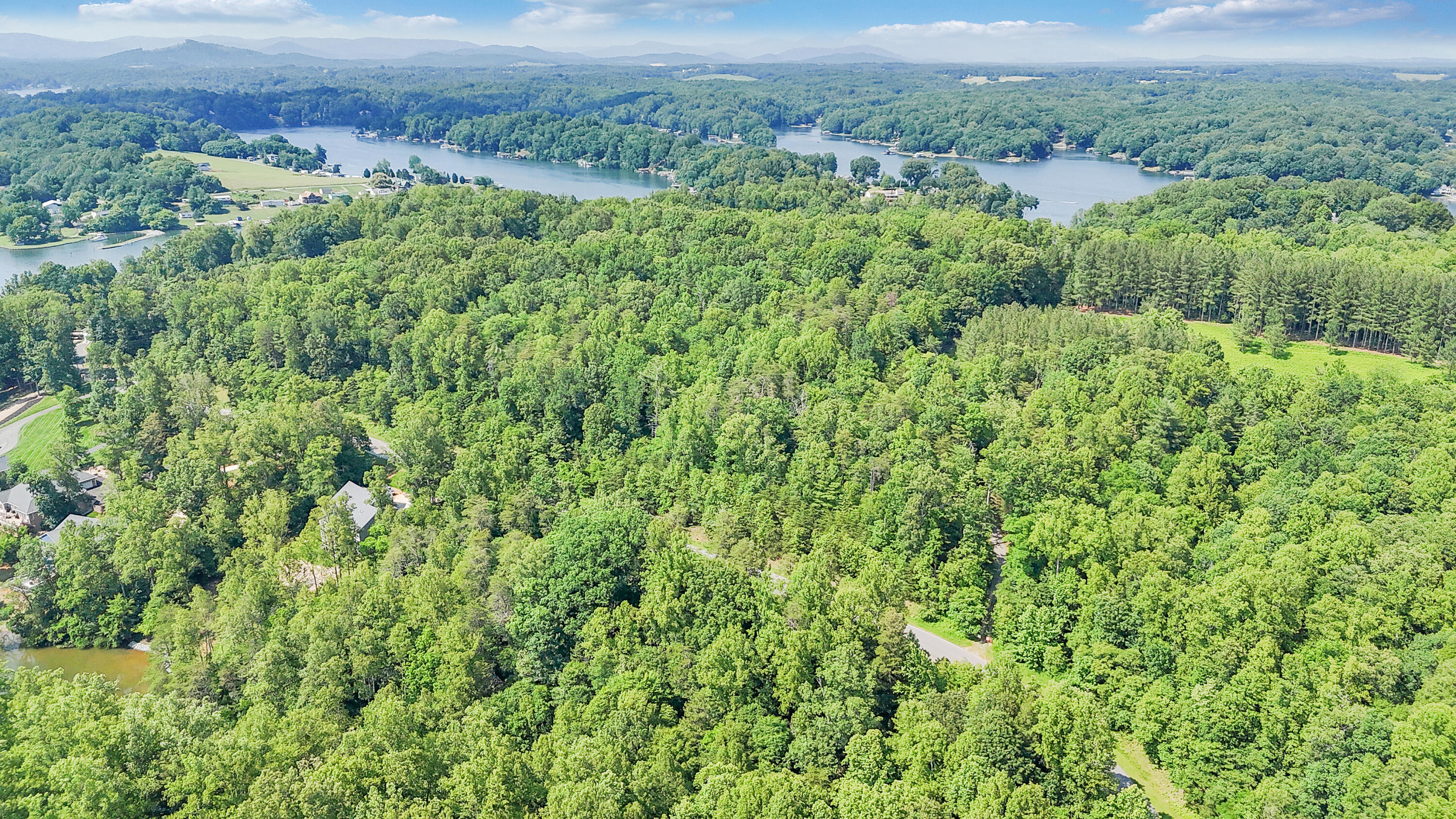 Lot 12 Watchtower Dr, Moneta, Virginia image 29