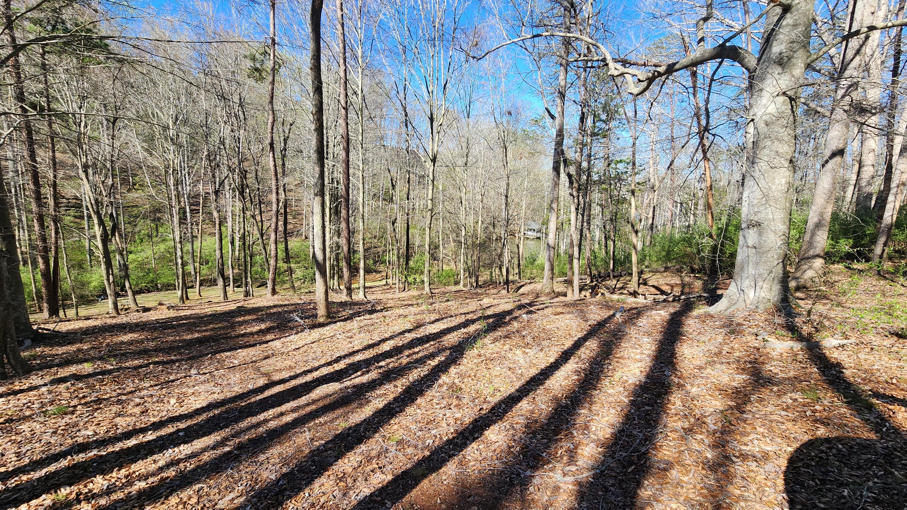 Lot 12 Watchtower Dr, Moneta, Virginia image 9