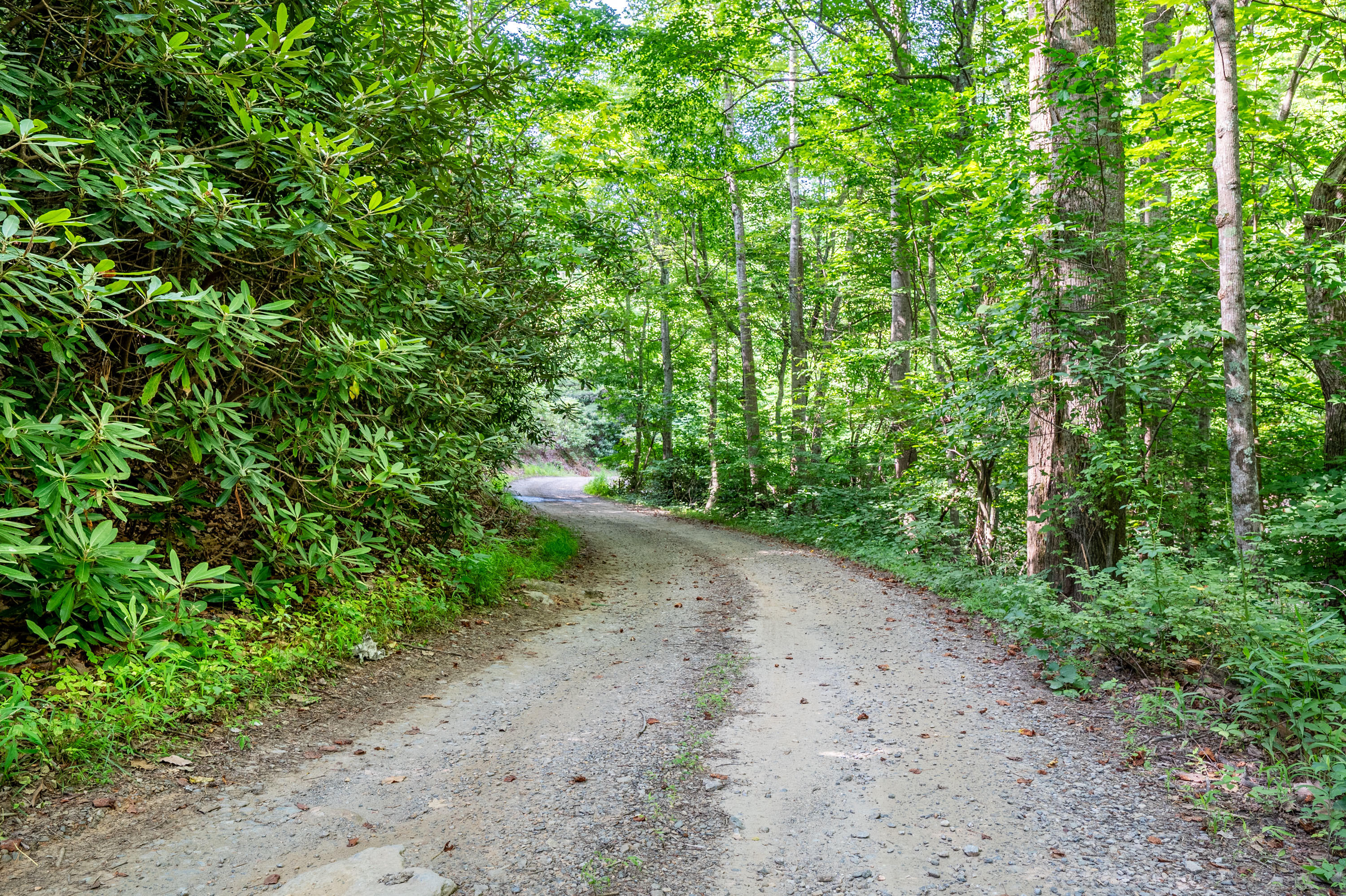 Woolwine Hwy, Woolwine, Virginia image 7