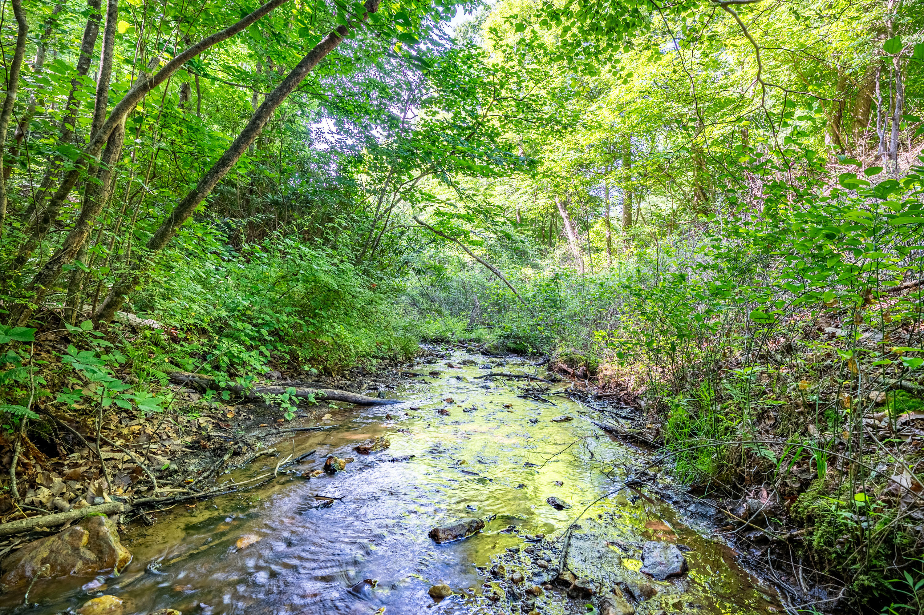 Woolwine Hwy, Woolwine, Virginia image 11