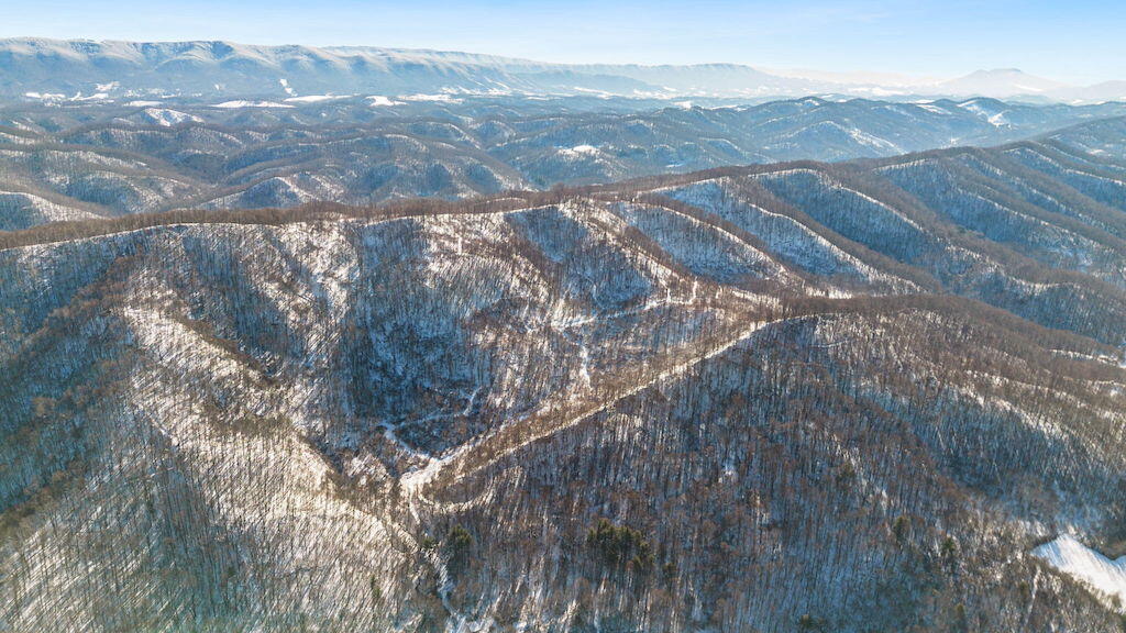 Samantha St, Bluefield, Virginia image 2