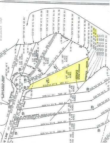 Lot 186 Hidden Cove Ln, Lynch Station, Virginia image 7