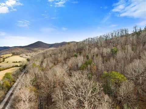 Vacant Land For Sale - 1154 Lusters Gate Rd<br/> Montgomery County, Blacksburg, VA 24060