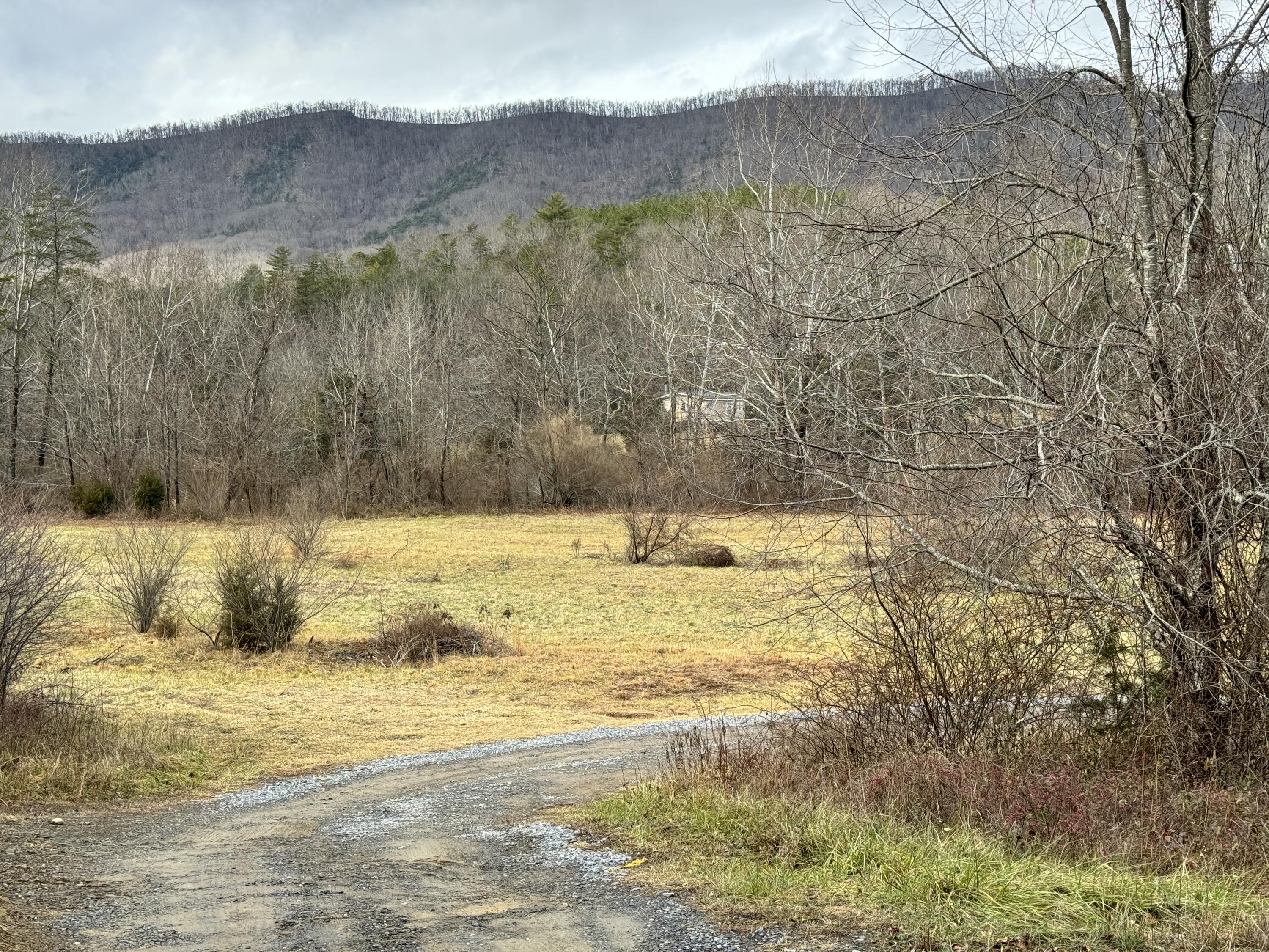 120 Happy Jack Trl, Goshen, Virginia image 35