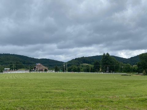 Vacant Land For Sale - 9727 Bent Mountain Rd<br/> Bent Mountain, VA 24059