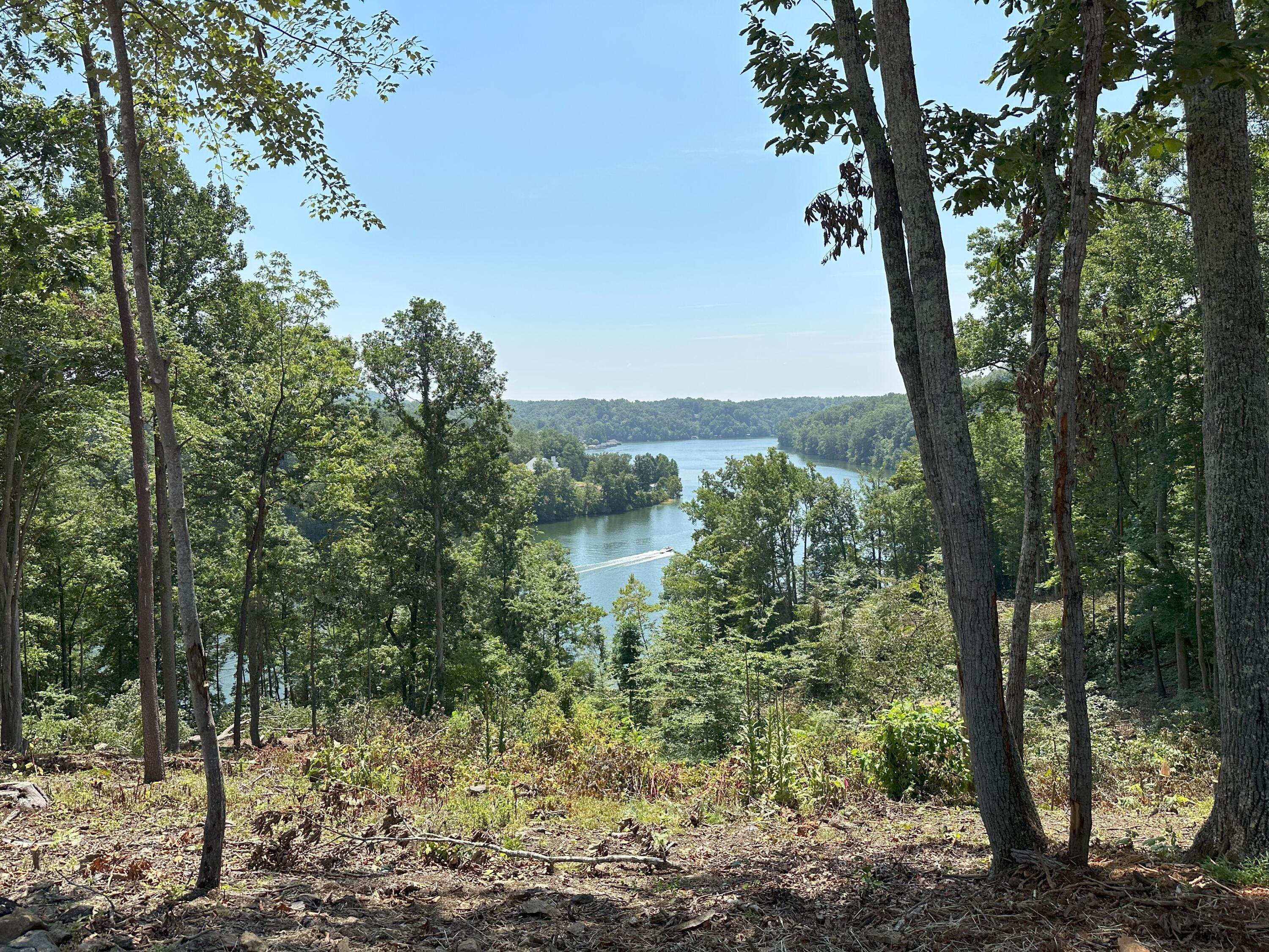69 Washburn Ct, Hardy, Virginia image 1