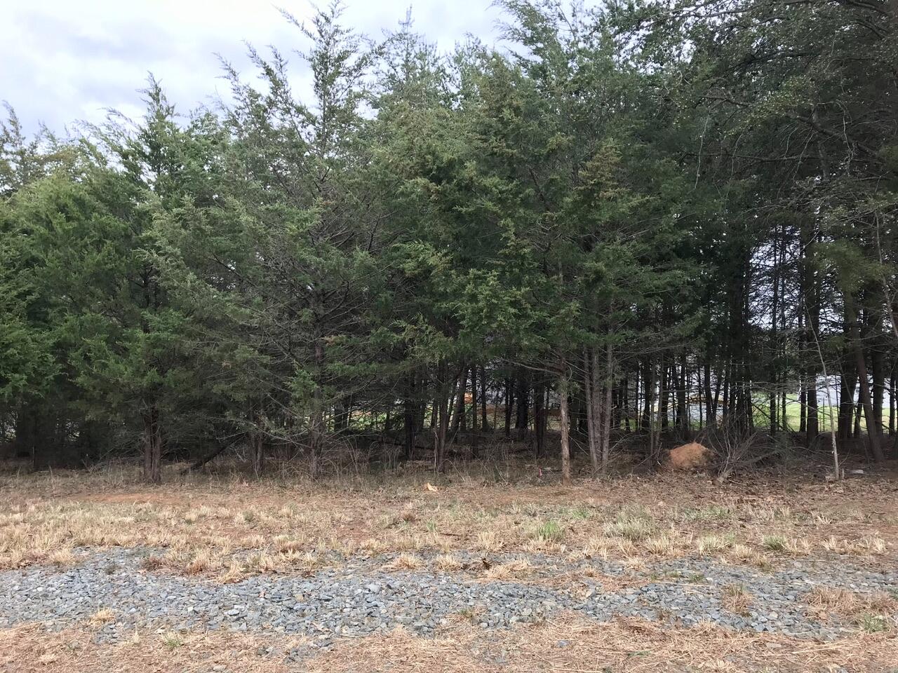 425 Belle Isle Dr, Union Hall, Virginia image 22