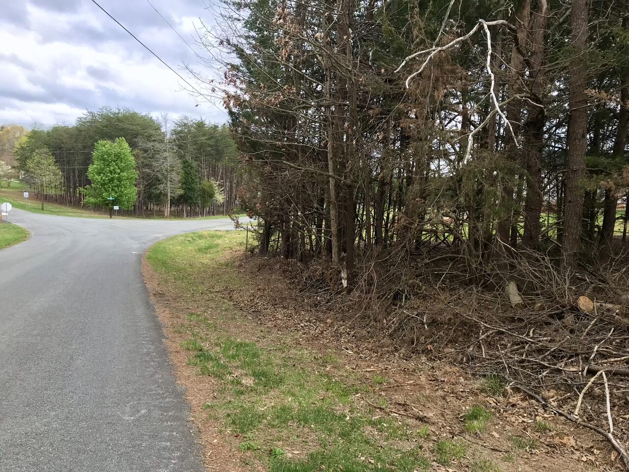 425 Belle Isle Dr, Union Hall, Virginia image 21