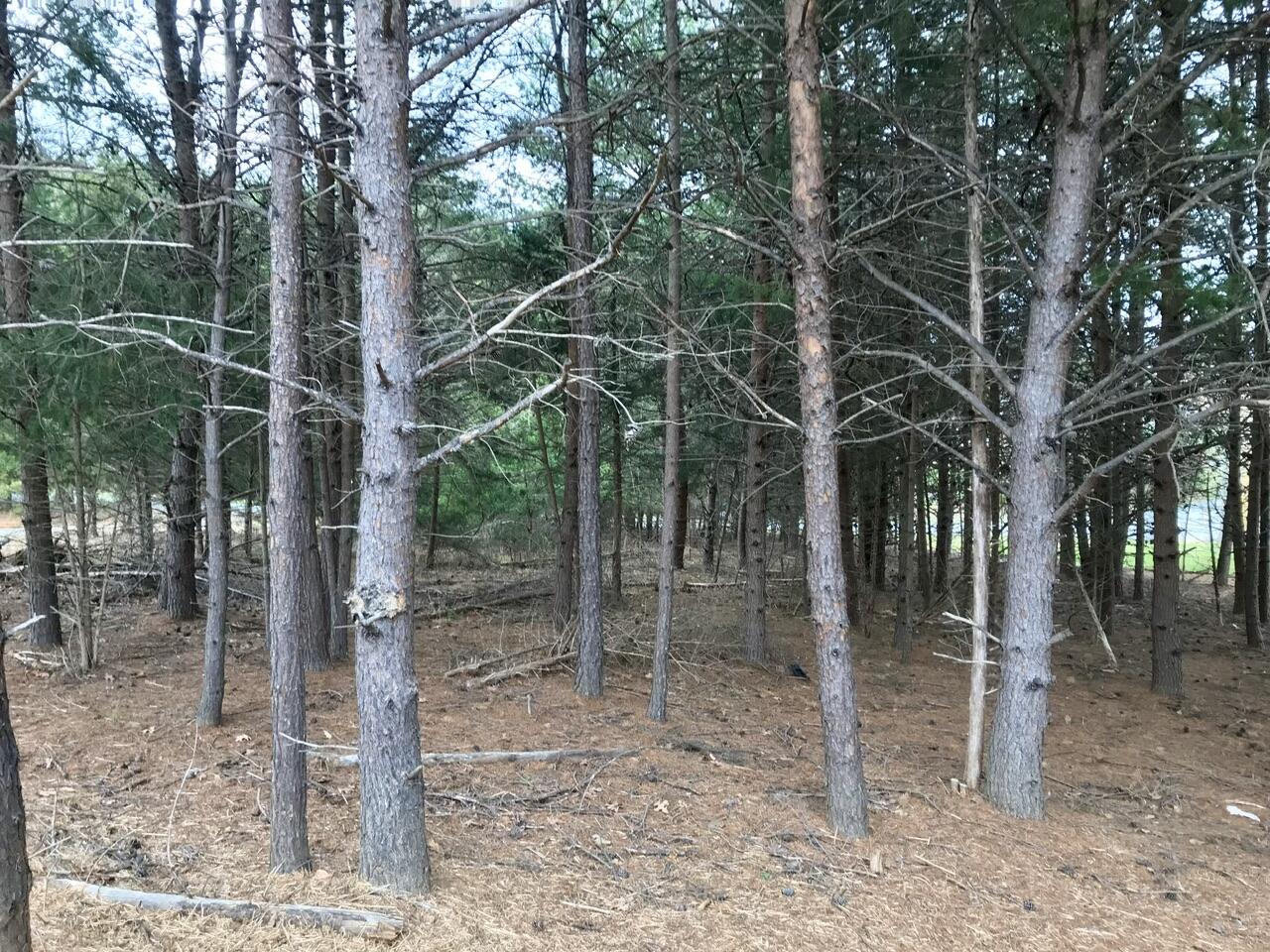 425 Belle Isle Dr, Union Hall, Virginia image 28