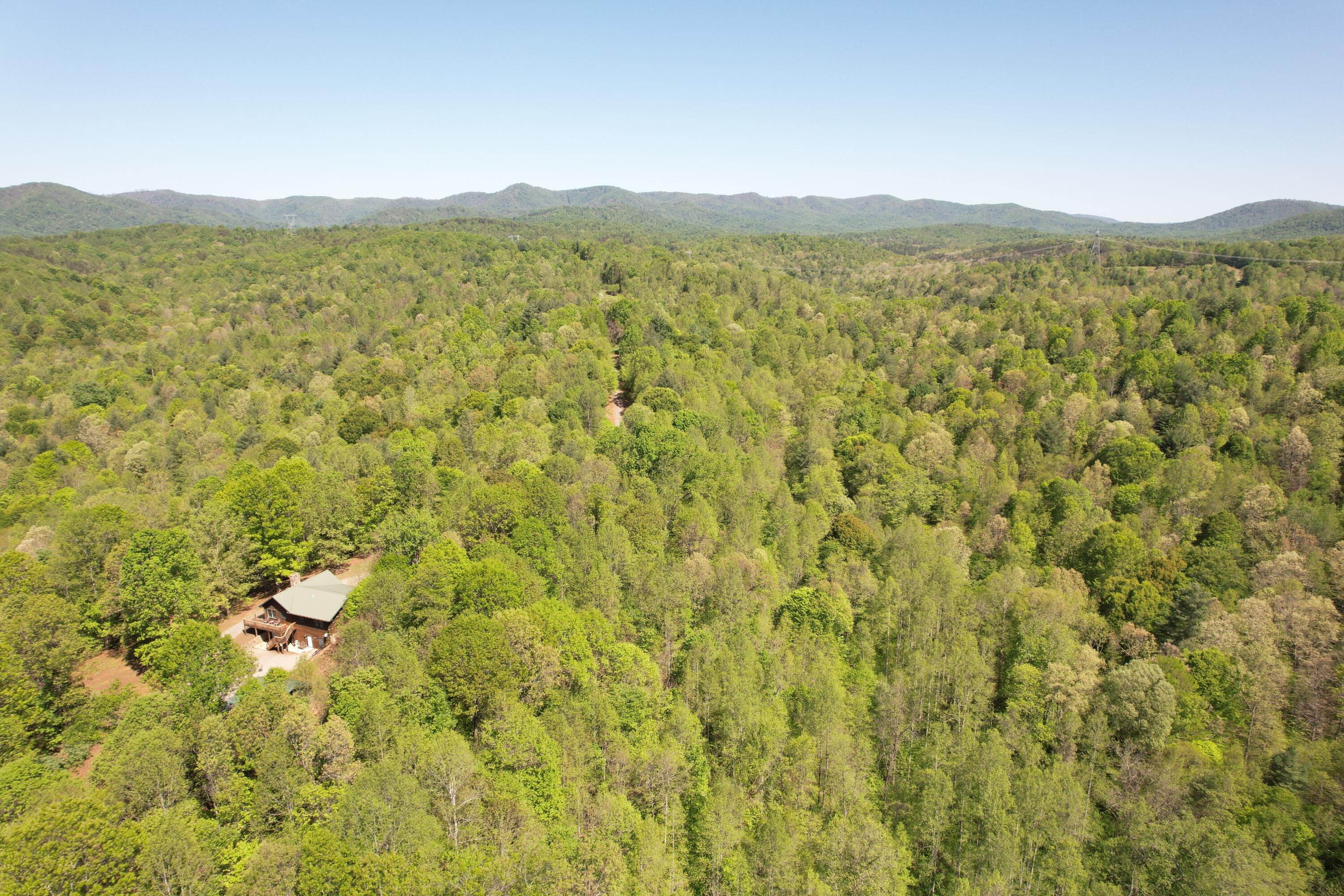 1644 Long Branch Hill Rd, Ferrum, Virginia image 5