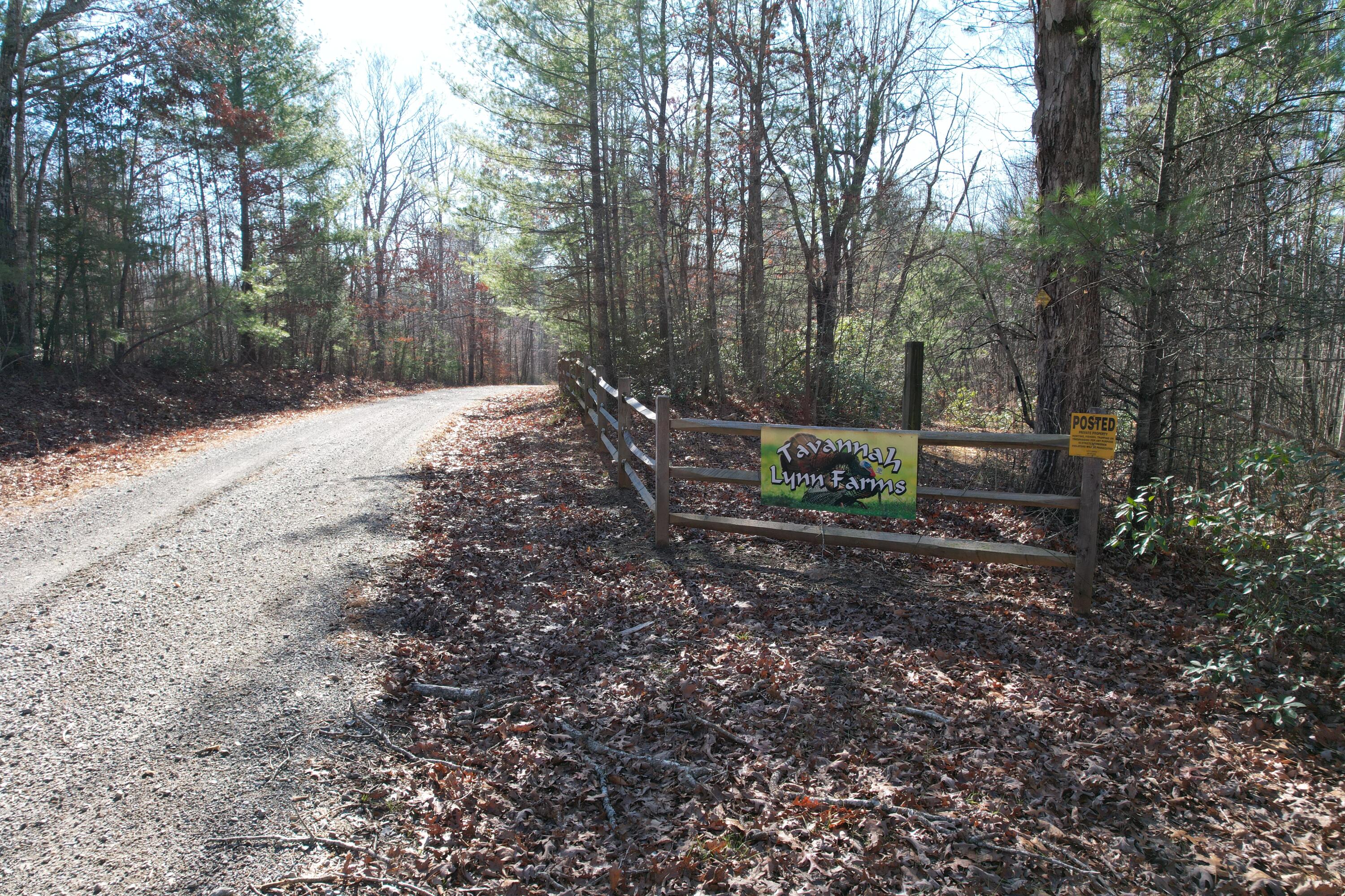 1644 Long Branch Hill Rd, Ferrum, Virginia image 50