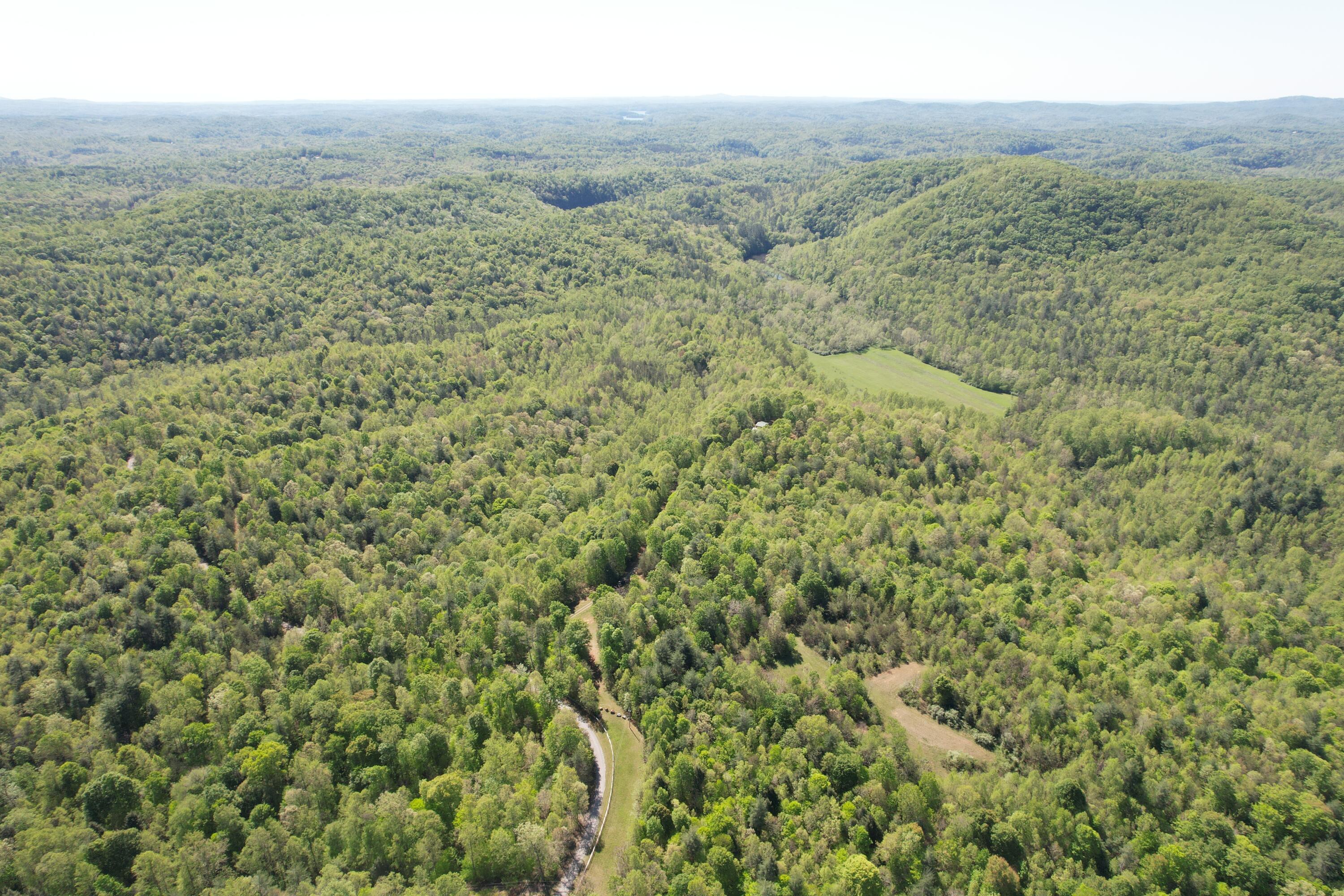 1644 Long Branch Hill Rd, Ferrum, Virginia image 4
