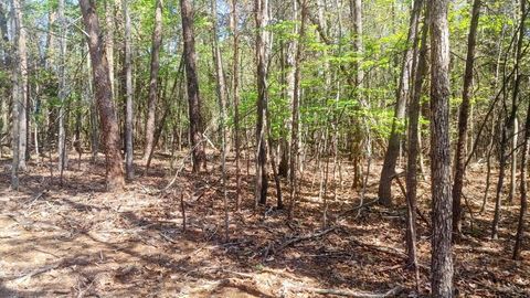 Vacant Land For Sale - LOT 130 Harbor Landing Dr<br/> Franklin County, Moneta, VA 24121