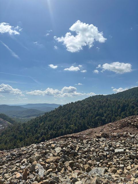 Vacant Land For Sale - Jeb Stuart Hwy<br/> Meadows of Dan, VA 24120