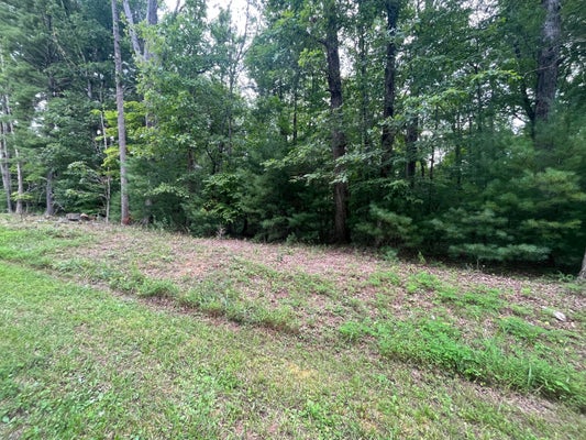 0 STOREY CREEK LN, ROCKY MOUNT, VA 24151 - Image 015497250e8e0a2de194fd8516aed8b8/1944242182