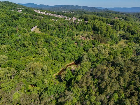Vacant Land For Sale - Merriman Rd<br/> Boones Mill, VA 24065