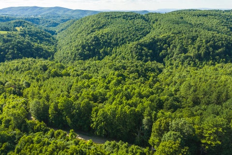 Vacant Land For Sale - TBD Sawmill Hill Rd<br/> Willis, VA 24380