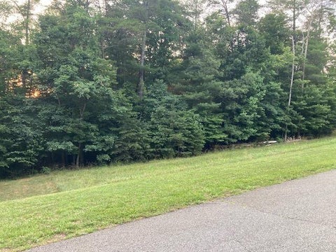 Homes For Sale - LOT 28 Freedom Ln<br/> Wirtz, VA 24184