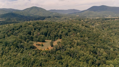 Vacant Land For Sale - 366 Beecher Ln<br/> Botetourt County, Buchanan, VA 24066