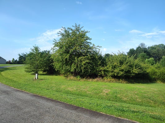 4 CARROLL DR, HARDY, VA 24101 - Image 0e77d421990636d22dd4b281ff8b6849/1347654633