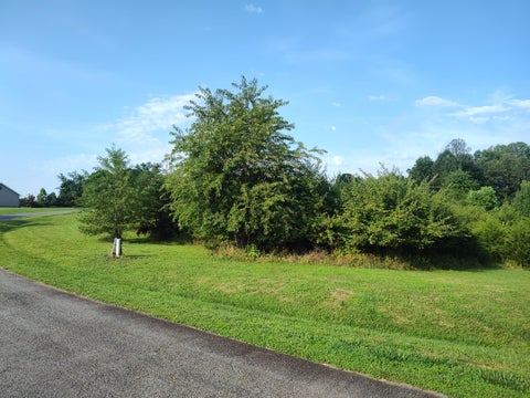 Vacant Land For Sale - 4 Carroll Dr<br/> Hardy, VA 24101