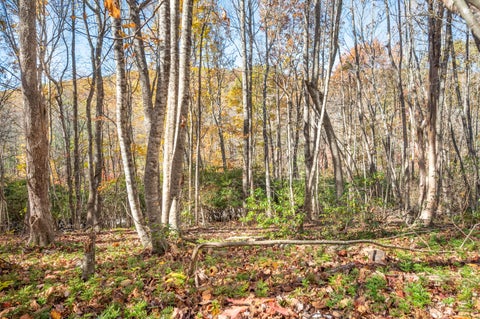 Vacant Land For Sale - 857 Phadettia Rd<br/> Willis, VA 24380