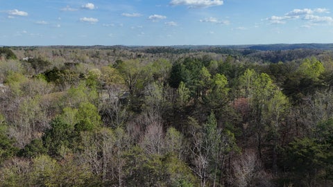 Vacant Land For Sale - 00 Knob Church Rd<br/> Henry, VA 24102