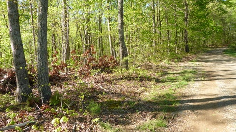 Vacant Land For Sale - TRACT 9 Dusty Ln<br/> Franklin County, Martinsville, VA 24112