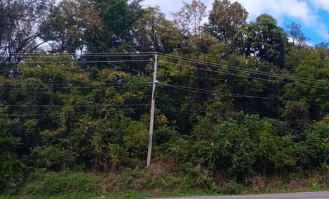 Vacant Land For Sale - Brandon Ave<br/> Roanoke, VA 24015