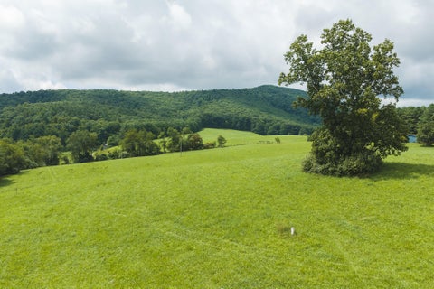 Vacant Land For Sale - LOT 1 Ridgeview Rd<br/> Floyd, VA 24091