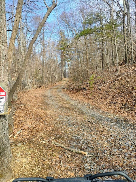 Vacant Land For Sale - Bent Mountain Rd<br/> Bent Mountain, VA 24059