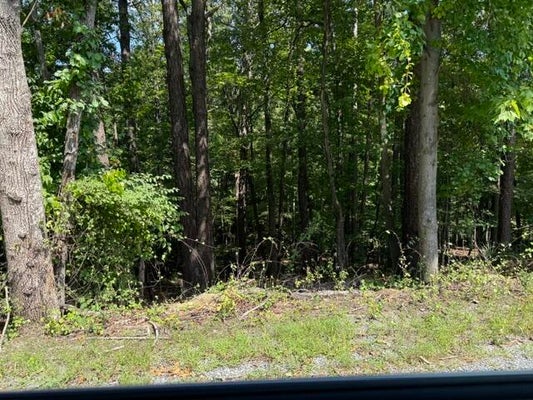 29 FIELDS AVE, BLUE RIDGE, VA 24064 - Image 26161dc207e27fd8d24f54b76b2a6cd2/4051682771