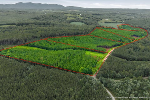 Vacant Land For Sale - LOT A2 Grassland Dr<br/> Sandy Level, VA 24161
